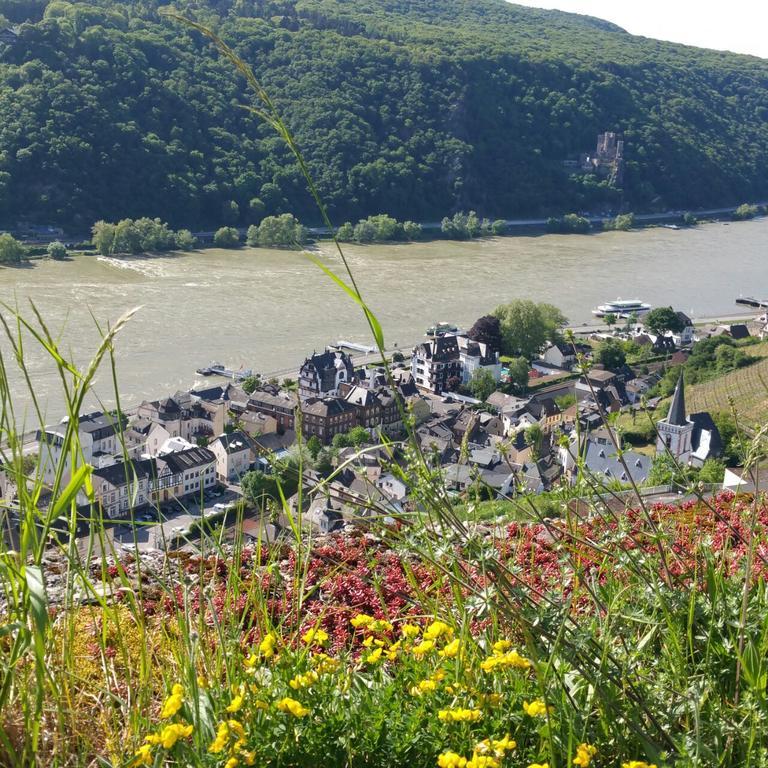 Eismauer Suite Rüdesheim am Rhein Extérieur photo